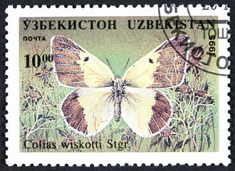 Fototapeta na wymiar GROOTEBROEK ,THE NETHERLANDS - MARCH 20,2016 : A stamp printed in Republic of Uzbekistan shows butterfly, circa 1995