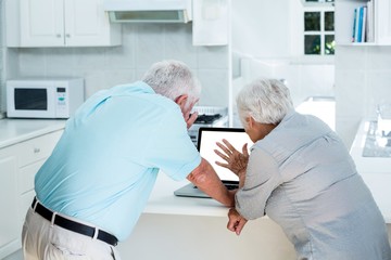 Obraz premium Rear view of senior couple using laptop