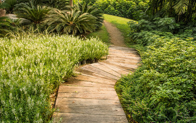 Concrete walkway , Walkway in garden.