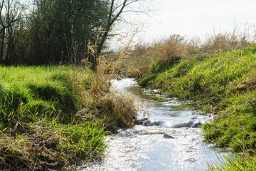 Frühling am Vlattener Bach in der Zülpicher Börde