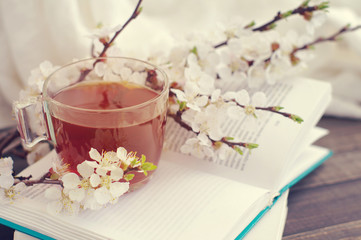 Open book, blossoming apricot branch and a cup of tea on a wooden table. Spring bouquet, book and...
