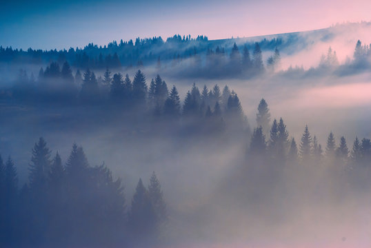 Misty valley © Bashkatov