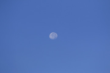 Daylight Moon