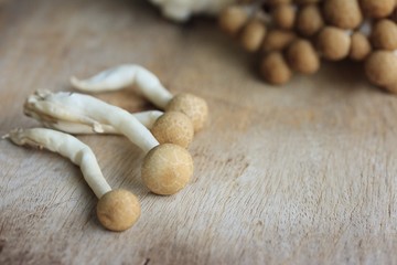 A lot mushroom black