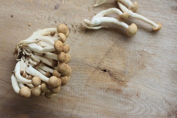 A lot mushroom black