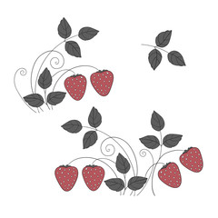 Strawberry floral decoration vector background template parts