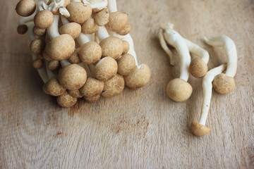 A lot mushroom black