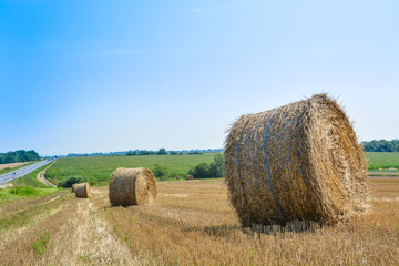 Field with wheat straw bales against a blue sky