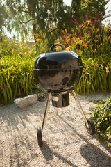 Spicy chicken wings on  BBQ grill