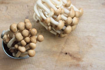 A lot mushroom black