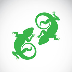 Vector image of an chameleon on white background