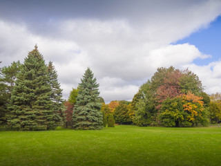 Autumn landscape