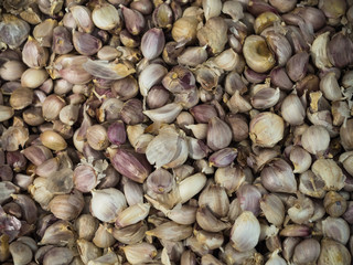 garlic background