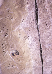 Indoor climbing wall rock holds