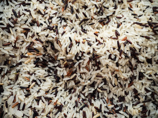 rice background