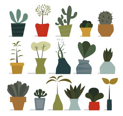 House plants in pots