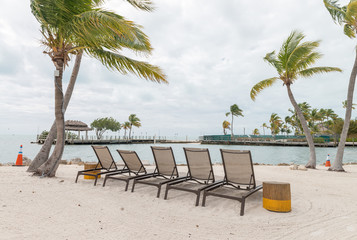 Coast of Keys Islands, Islamorada