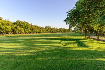 Formal garden landscape.