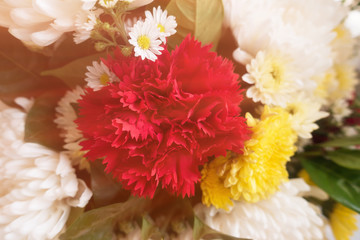flowers bouquet , dream soft style