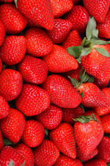 Erdbeeren