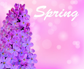 illustration spring background with beautiful blooming lilac