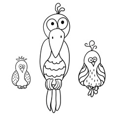Set of cartoon birds. Parrot, crow.