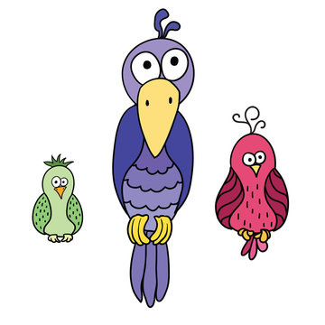 Set of cute cartoon colored birds with black contour. Crow. Parr