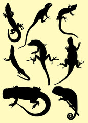Lizards Silhouette