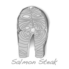 Fresh Raw Salmon vector