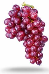 Red grape isolated on white