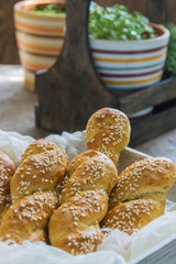 Traditional greek homemade biscuit cookies for Easter