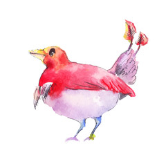 Fantastic red bird. Red bird watercolor. Fantastic vector bird d