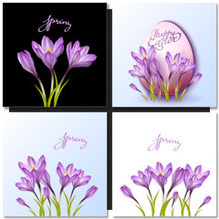Set of vector flowers and spring lettering