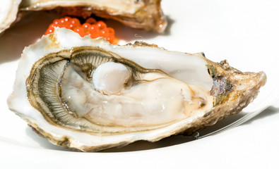 Fine de Claire Oysters