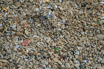 small color stones texture from beach