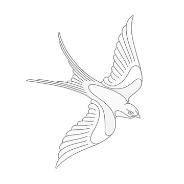 Flying swallow or swift tattoo design. Elegant bird vector illustration.