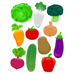 Vector Illustration of Set of Different Vegetables