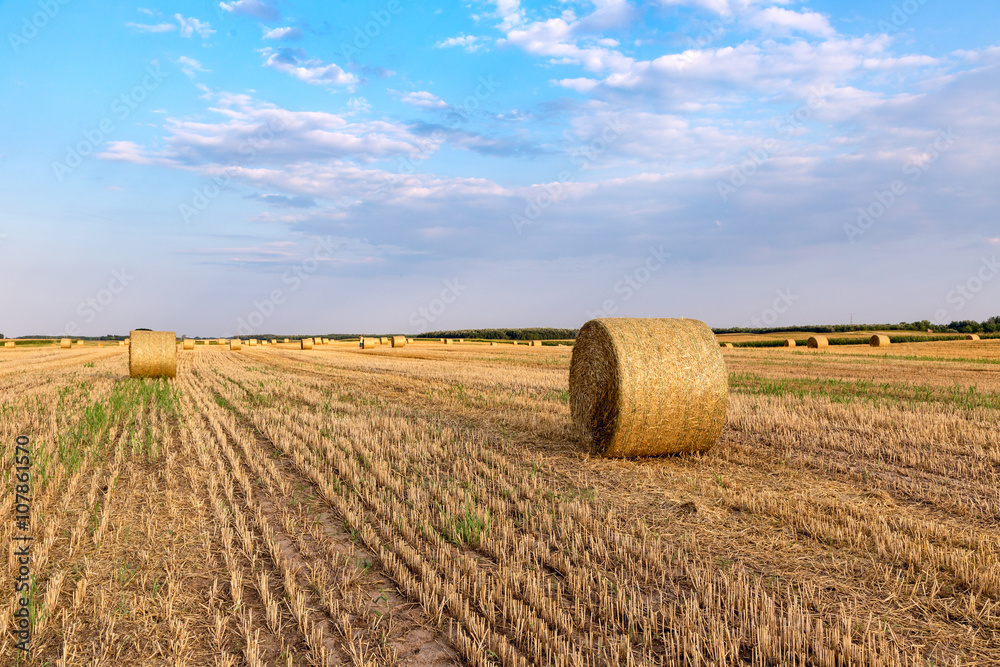 Poster hay bales on the field after harvest