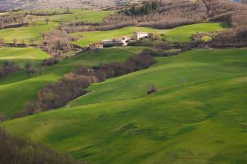 Fototapeta na wymiar Tipico paesaggio rurale delle marche
