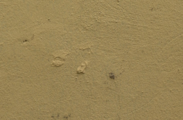 Grobverputze gelbe Wandstruktur