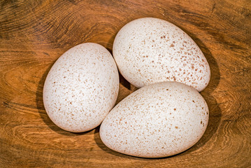 Drei leckere Puteneier liegen in einer Holzschale