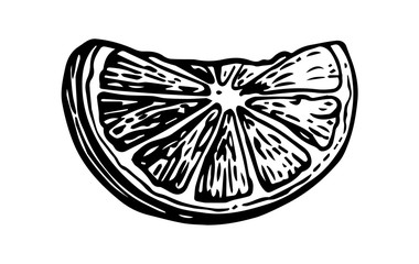 Lime slice. Vintage vector engraving illustration for label, poster, web