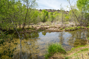 Fototapeta na wymiar West Clear Creek Arizona