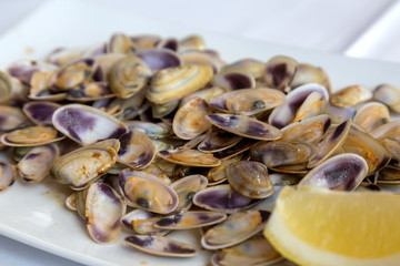 Typical Spanish shellfood