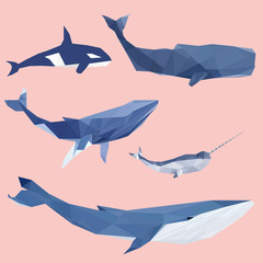 Geometric colored whale set © aliakseizykau