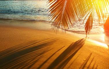 Schöner Sonnenuntergang am Strand der Seychellen mit Palmenschatten