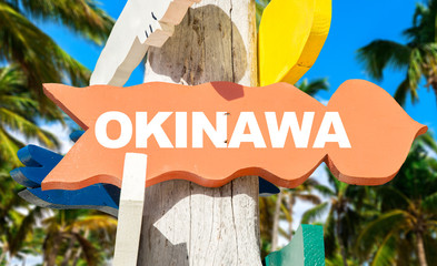 Okinawa signpost with palm trees