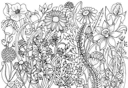 Hand drawn with ink background with doodles, flowers, leaves. Nature design for relax and meditation.