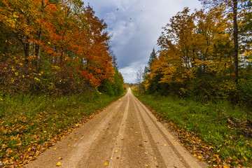 Fototapeta na wymiar the view down a scenic country roadway in autumn landscape