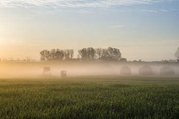 misty, sunny morning in the countryside
